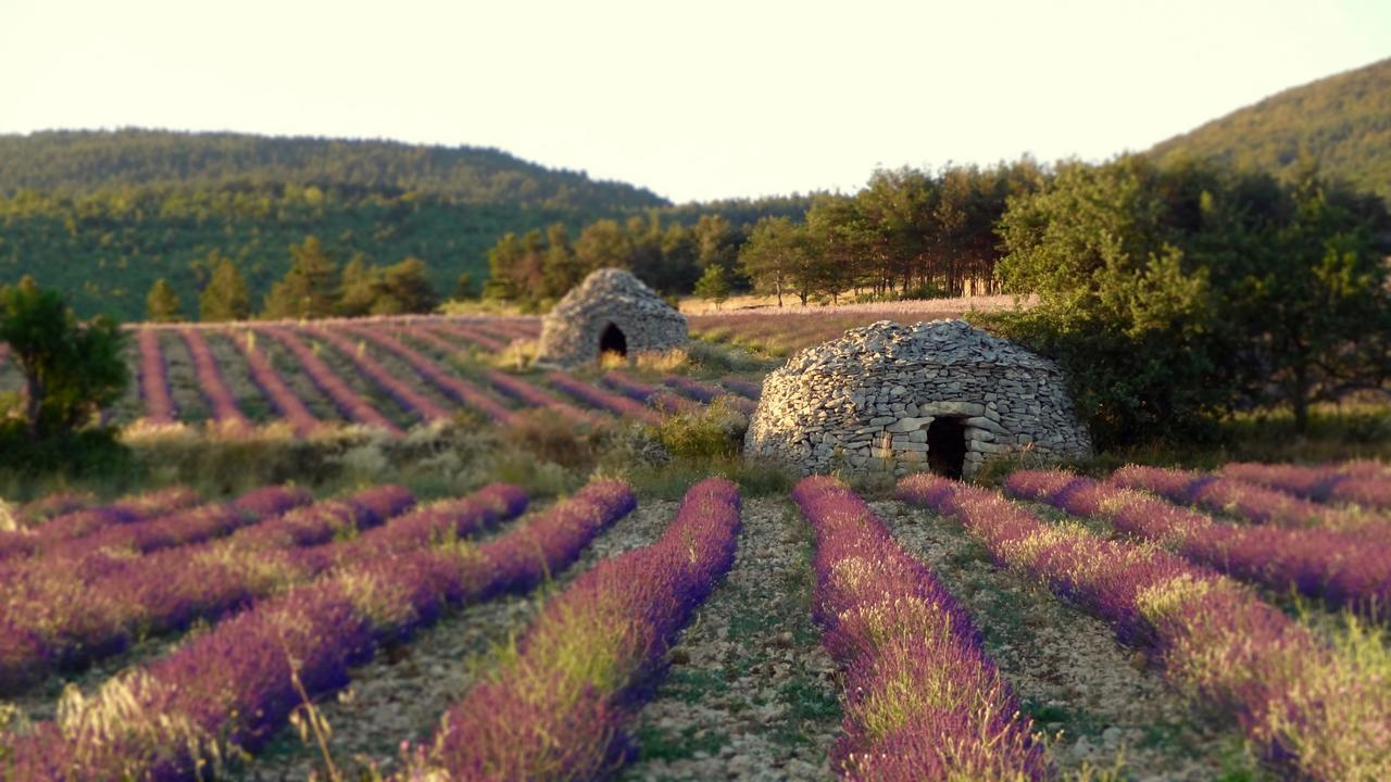 Chateau Ferrassieres Eksteriør billede